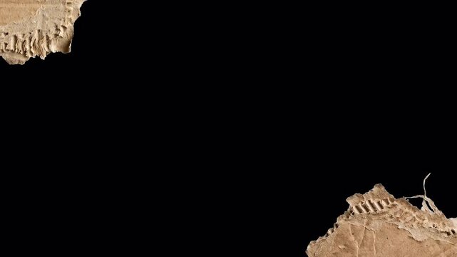 Animated Torn Cardboard Pieces Moving on Black Background
