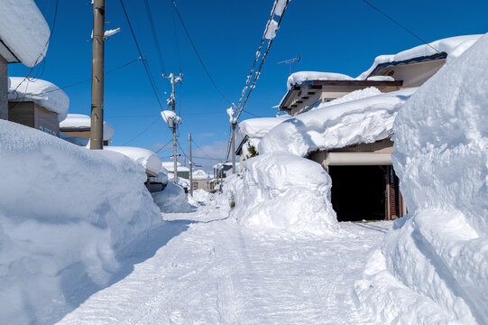 北国の雪景色」の写真素材 | 13,620件の無料イラスト画像 | Adobe Stock