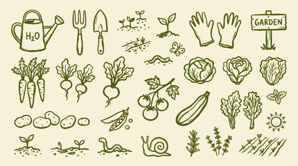 Fototapeta premium Hand drawn garden elements and vegetables collection on a light background for organic farming and healthy eating concepts