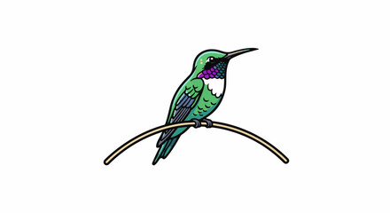 Fototapeta premium A vibrant green hummingbird with purple throat adorns a thin, curved branch against a stark white background