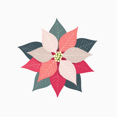 Obraz premium Stylized Poinsettia Flower Illustration
