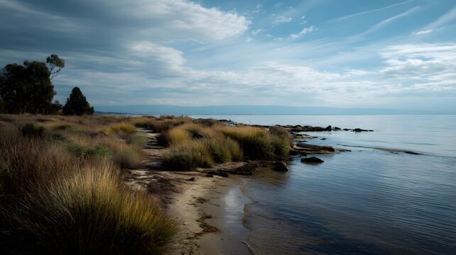 shoreline where land and water meet in perfect gradual transition without dominance as the main subject + coastal environment with smooth blending zones + soft horizon lighting enhancing neutrality + 