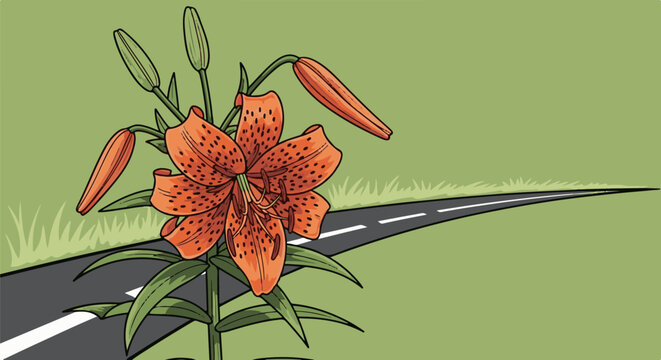 A vivid orange lily with dark spots blossoms beside a winding road and grassy verge