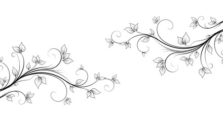 Elegant floral vine border, black and white graphic element, decorative flourish © Zie