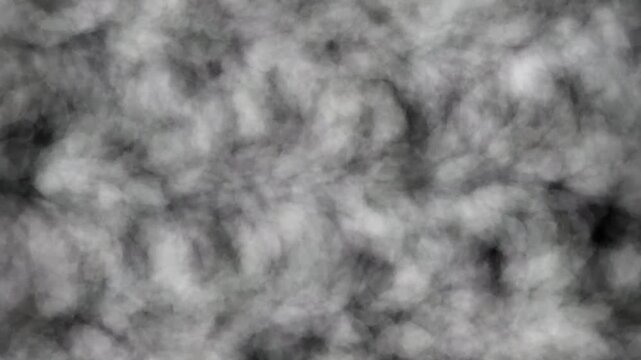black and white fur texture motion video. abstract fur motion video background.