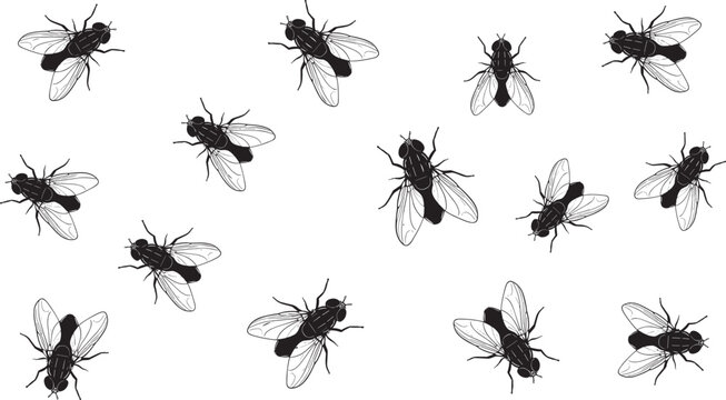 Seamless pattern of black housefly silhouettes and insect vector illustrations featuring detailed wings and flying pests for hygiene sanitation and pest control service concepts