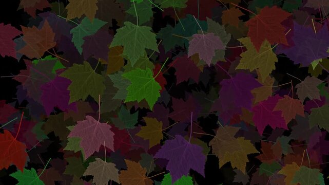 grunge background with leaves motion video. autumn leaf leaves motion video.