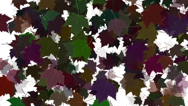 grunge background with flowers. autum leaves motion video.