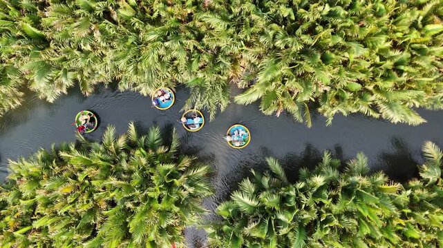 Top view of basket boats on river surrounded by palm forest in Hoi An Vietnam