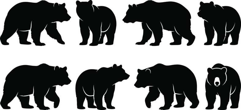 Bear silhouettes collection with various poses including walking, standing and wildlife animal figures for nature, zoo and safari design projects