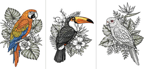 Tropical Bird Vintage Engraving Set Featuring Parrot, Toucan and Cockatoo with Botanical Leaves and Flowers for Elegant Nature Illustration and Decorative Design © Ruma