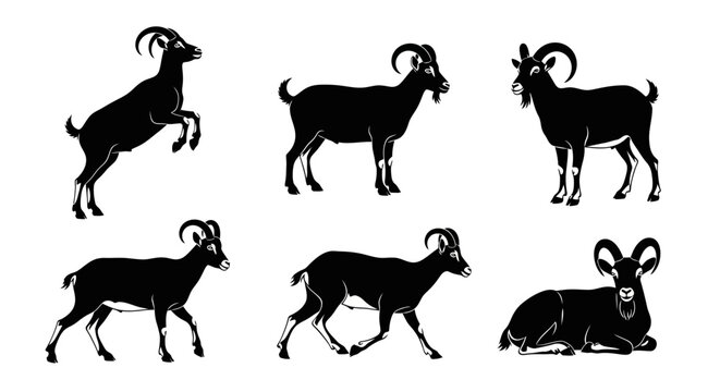 Set of Goat Silhouettes in Various Poses
