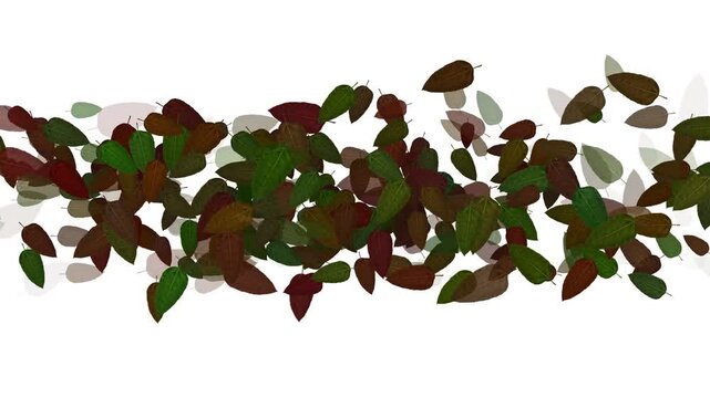 red and green leaves motion video. leaf motion video