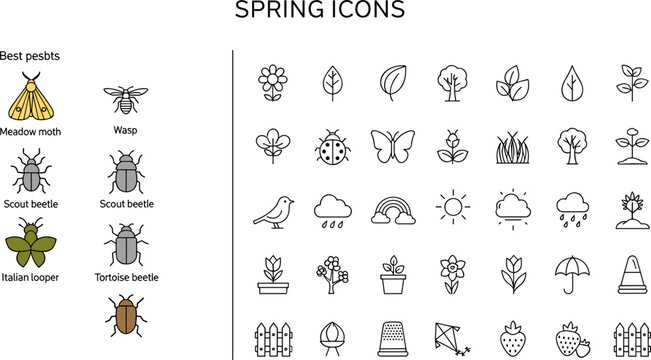 Spring icon set with garden pests featuring moth, wasp, beetle, butterfly, flower, plant, rain and nature outline symbols