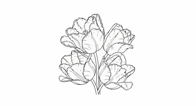 A black and white line drawing of a cluster of ruffled parrot tulips