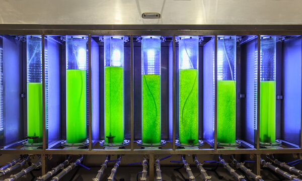 Algae fuel biofuel industry lab researching for alternative to fossil algae fuel or algal biofuel. Zero carbon emission concept.