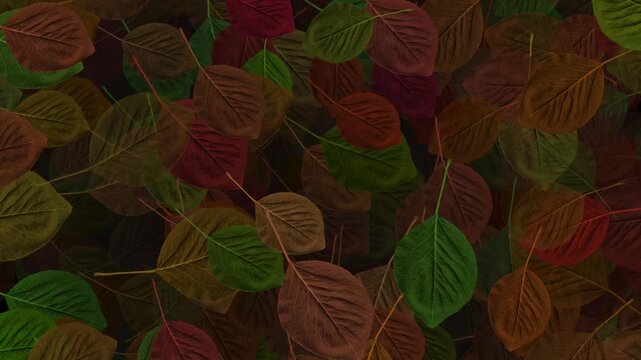 autumn leaves background motion video. leaf motion video background.