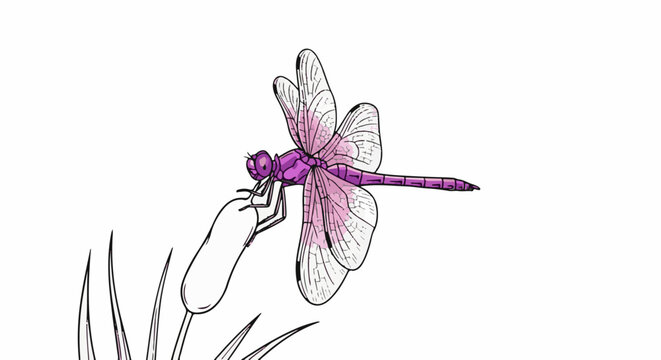 A purple dragonfly with iridescent wings rests on a cattail stalk