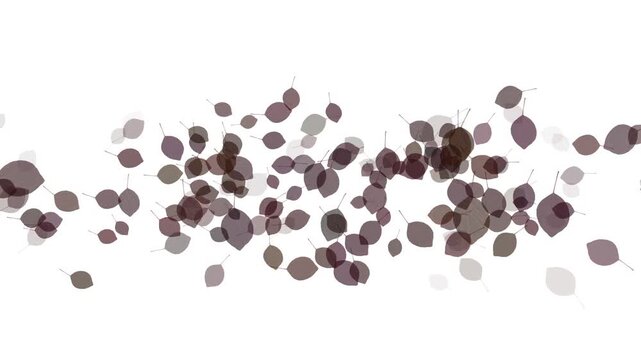 colorful leaves motion background. leaf minimal motion 