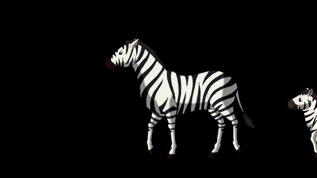 Cartoon Zebra alpha matte 2D animation HD