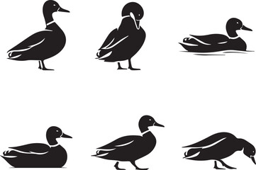 Obraz premium Duck Silhouette Set
