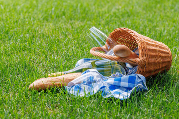 Naklejka premium Picnic basket with wine, grapes, and baguette
