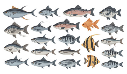 Fototapeta premium Assorted fish vector collection with diverse marine and freshwater species detailed illustration isolated on white background