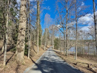 Asphalt path through a sunny spring forest by the lake. Nordic nature trail © Оксана Жемеренко