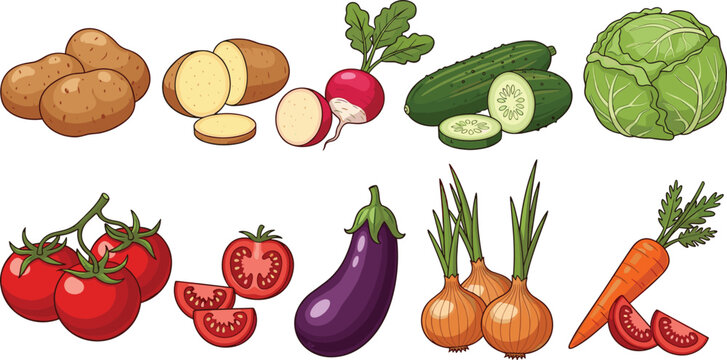 Colorful Vegetable Illustration with Potatoes, Carrots, Eggplants, and Other Fresh Produce