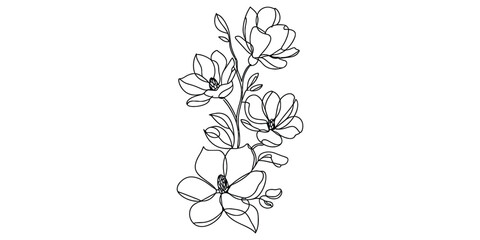 Elegant magnolia flower branch line art drawing © JoyChandra