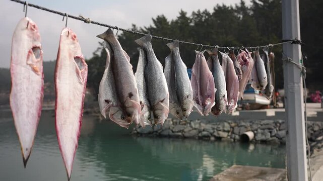 Traditional way of drying seafood at a local fishing village