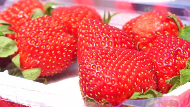 Red strawberries in a clear plastic clamshell box held outdoors