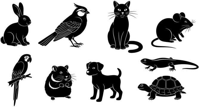 Set of eight common domestic pets in black and white vector silhouette form, including a dog, cat, rabbit, and birds.