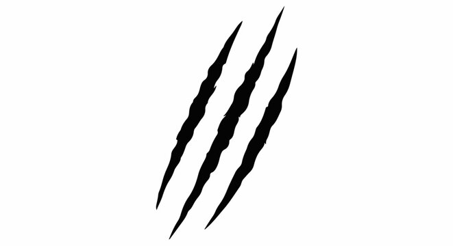 Black claw marks slashed diagonally across a white background