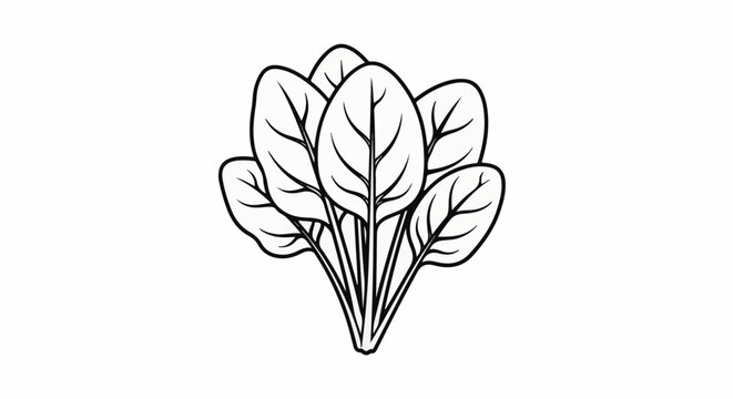 Bunch of spinach leaves, illustrated with bold black outlines