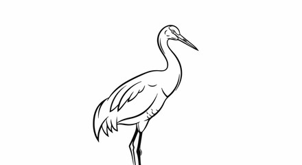 Fototapeta premium A simple black and white sketch of a solitary elegant bird with long legs and neck