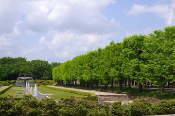Obraz premium park