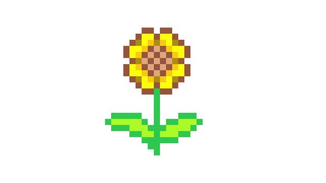8 bit, art, beautiful, cartoon, colorful, design, flower, game, garden, graphic, item, leaf, natural, nature, petals, pixel, pixel art, plant, retro, summer, sunflower, yellow, pixel animation, 