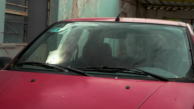 Fallen tree branch piercing the shattered windshield of a red car