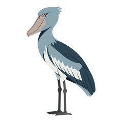 Obraz premium shoebill