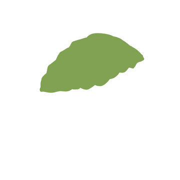 high quality brush cute kawaii soft watercolor vector painting drawing color cute simple design business chibi chubby shy blush sakura mochi filling cream green leaf background