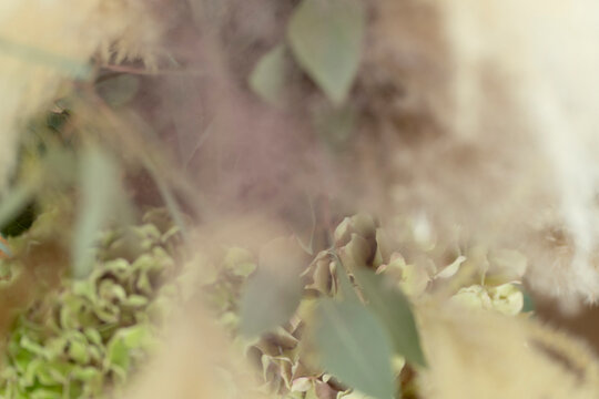 グリーン植物イメージ