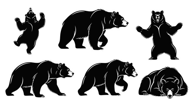 Set of black bear silhouettes in various poses ? wild animal collection