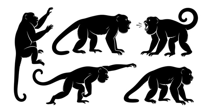 Set of Monkey Silhouettes in Various Poses and Actions