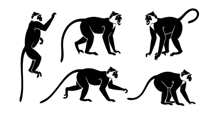 Set of Black and White Monkey Silhouettes in Various Poses