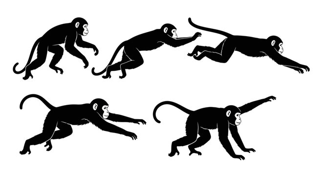 Monkey Silhouette Animation Sequence: Five Poses of a Primate in Motion