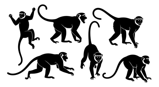Set of Monkey Silhouettes in Various Poses