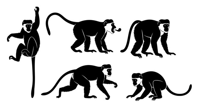 Set of stylized black and white monkey illustrations in various poses