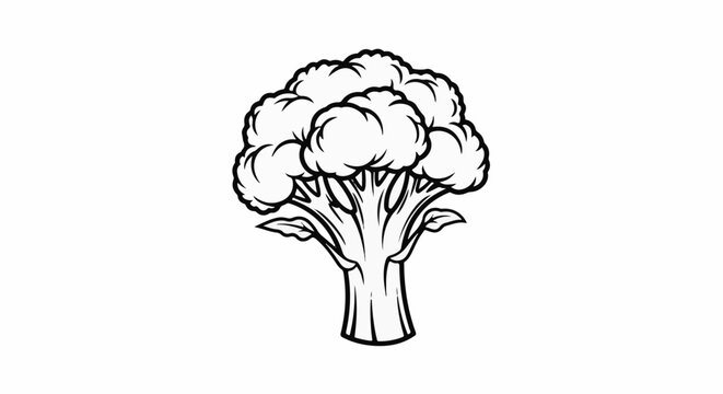Detailed black and white line drawing of a broccoli head