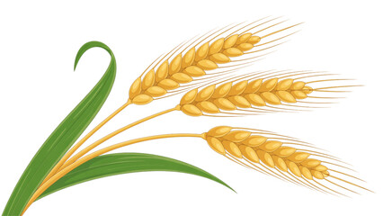 Fresh wheat ear on a green stalk with sunlight effect Vector © MDSOPON